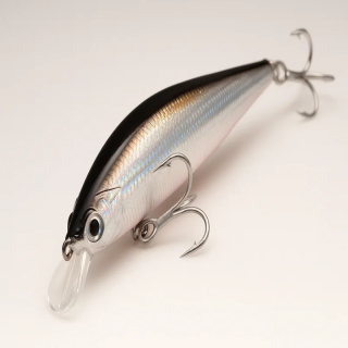 Leurre Jerkbait Minnow 10g - Peche-France.fr