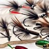 Pêche à la mouche